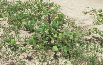 stranded deep ajuga  You will know when you have been poisoned, as a message will pop up on the screen to let you know that your character feels ill